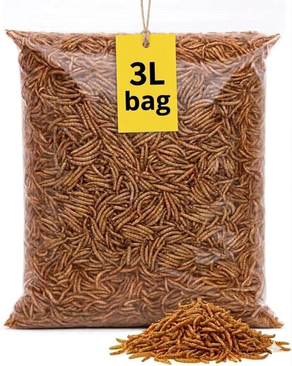 Premium 3-Litre Mealworms Bag for Wild Birds – Natural High-Protein, High-Energy Feed, Mess-Free Food for All Bird Species