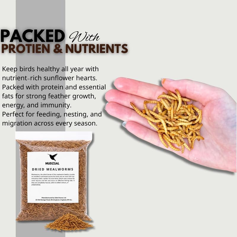 Premium 3-Litre Mealworms Bag for Wild Birds – Natural High-Protein, High-Energy Feed, Mess-Free Food for All Bird Species