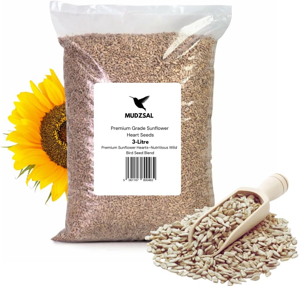 Premium Sunflower Heart Seeds Wild Bird Food – High Energy, No Mess Bird Feed