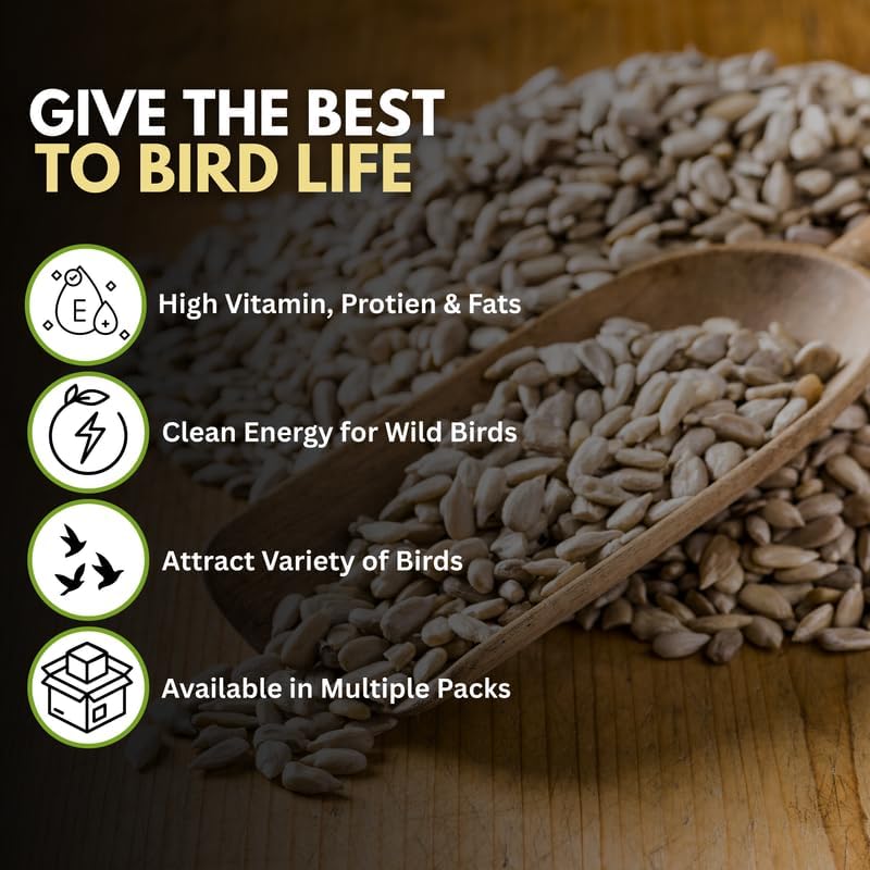 Premium Sunflower Heart Seeds Wild Bird Food – High Energy, No Mess Bird Feed
