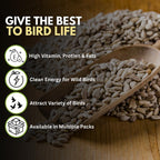 Premium Sunflower Heart Seeds Wild Bird Food – High Energy, No Mess Bird Feed