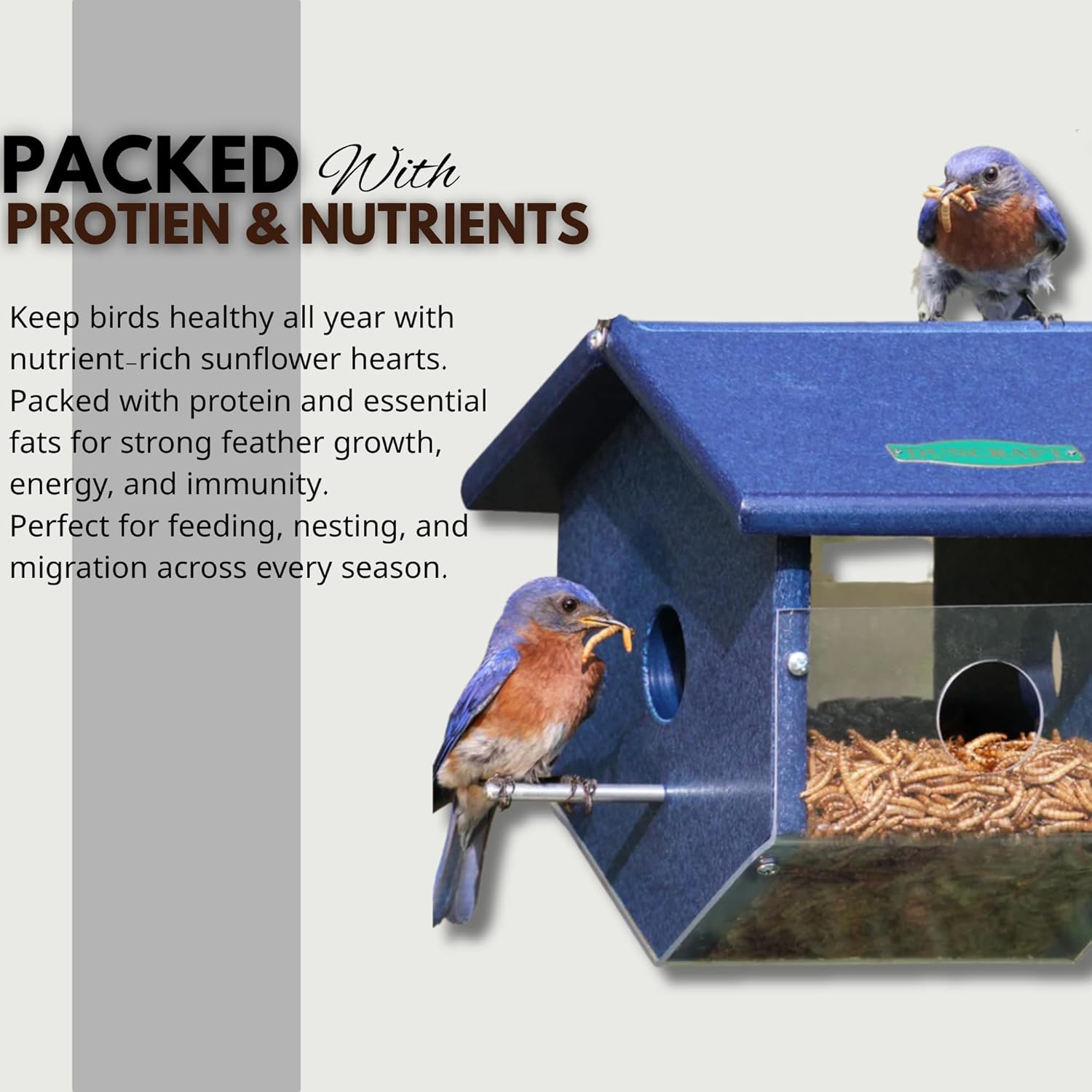 Mealworms Tub Wild Bird Food – High Energy, No Mess Bird Feed