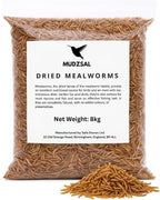 Mealworms Bag for Wild Birds – Natural High-Protein, High-Energy Feed, Mess-Free Food for All Bird Species