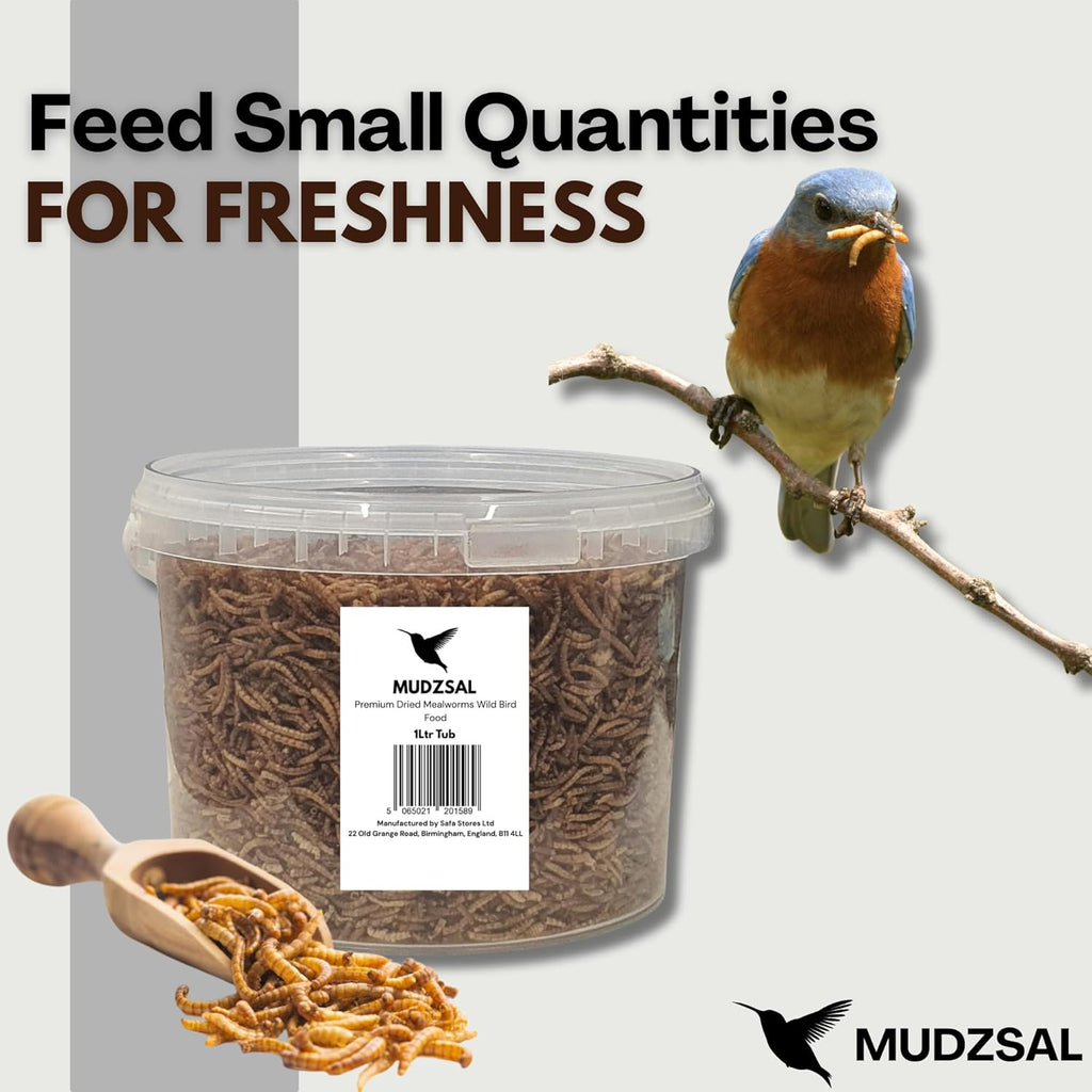 Mealworms Tub Wild Bird Food – High Energy, No Mess Bird Feed