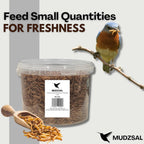 Mealworms Tub Wild Bird Food – High Energy, No Mess Bird Feed