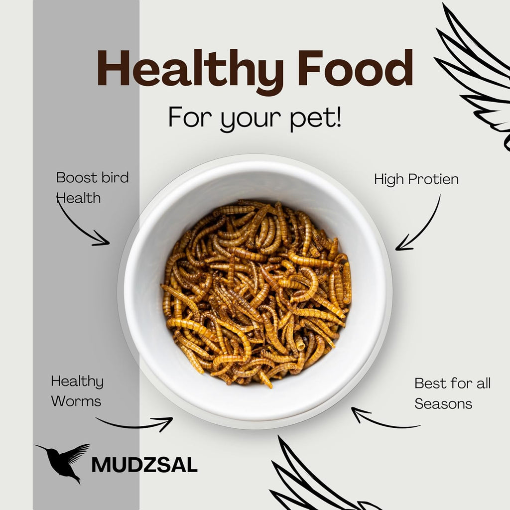 Mealworms Tub Wild Bird Food – High Energy, No Mess Bird Feed