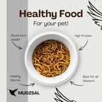 Mealworms Tub Wild Bird Food – High Energy, No Mess Bird Feed