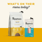Applaws Cat Can Chicken & Cheese in Broth 70g x 24