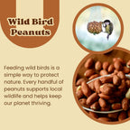 1L Bag Premium Wild Bird Peanuts - High Protein Peanuts for Wild Birds, Rich in Healthy Fats, Fibre & Vitamins, Ideal for Feeders, Supports Bird Health, Clean & Fresh Wild Bird Food