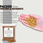 Mealworms Bag for Wild Birds – Natural High-Protein, High-Energy Feed, Mess-Free Food for All Bird Species