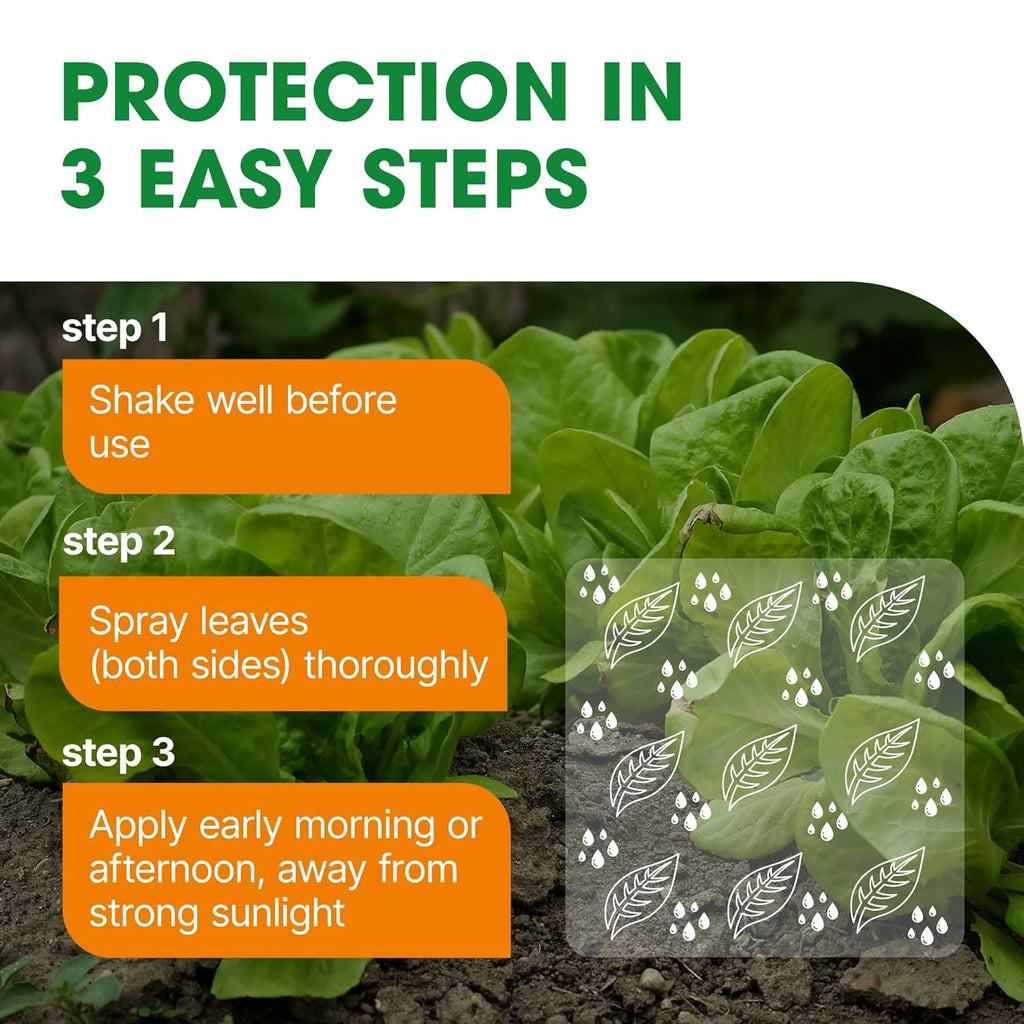 Doff Greenfly & Blackfly Control – 1L Pest Spray for Garden and Greenhouse – Aphid, Whitefly & Spider Mite Repellent – Protects Edible & Ornamental Plants with Added Plant Feed – Bee-Friendly Formula