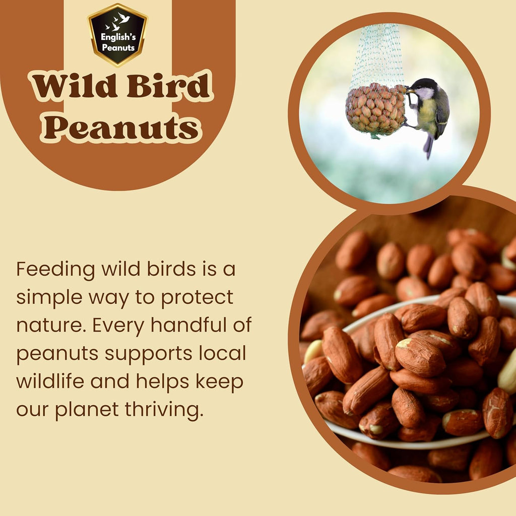 English's Peanuts 25-Kg Sack for Wild Birds – Natural Bird Food for Garden Birds