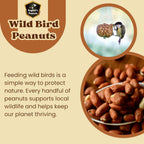 English's Peanuts 25-Kg Sack for Wild Birds – Natural Bird Food for Garden Birds
