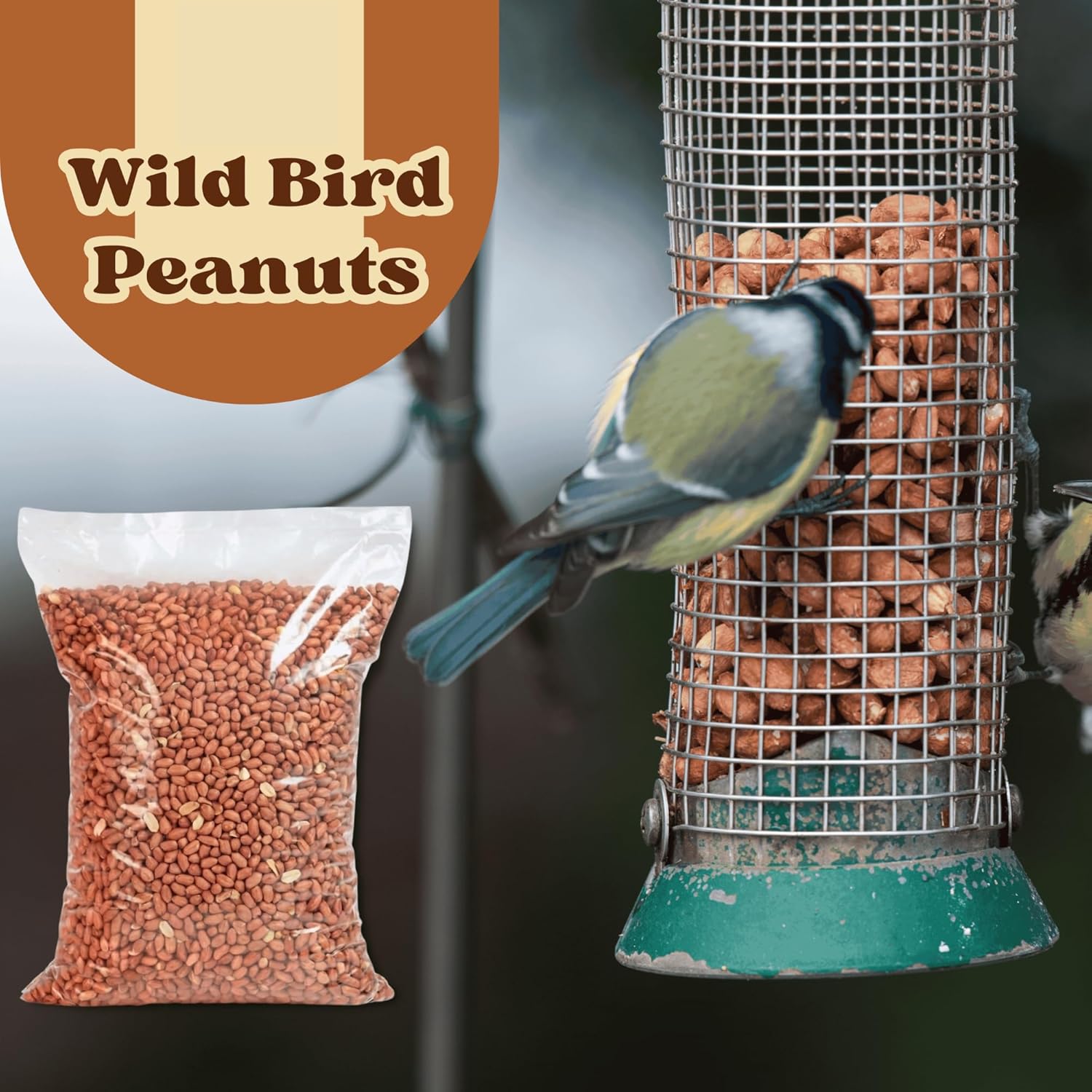 1L Bag Premium Wild Bird Peanuts - High Protein Peanuts for Wild Birds, Rich in Healthy Fats, Fibre & Vitamins, Ideal for Feeders, Supports Bird Health, Clean & Fresh Wild Bird Food