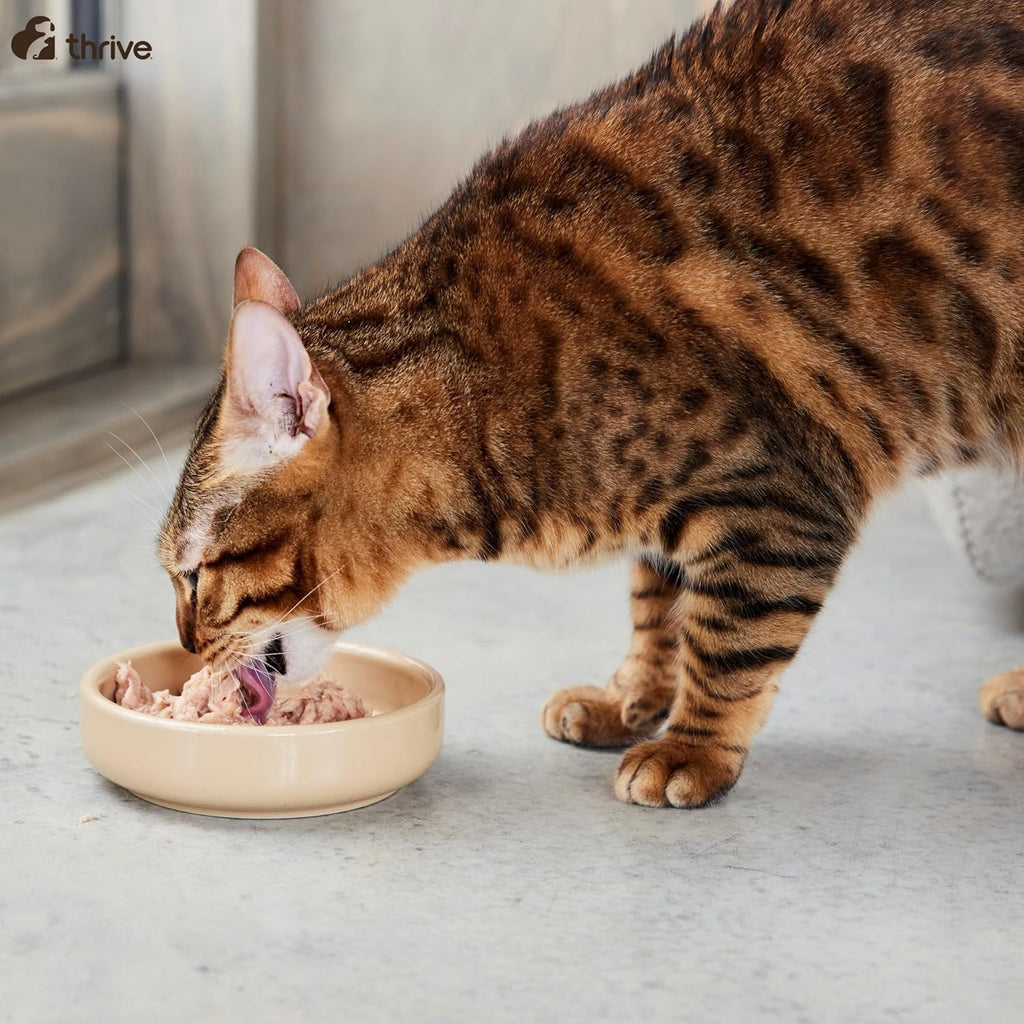 Thrive Cat 100% COMPLETE - CHICKEN BREAST & TURKEY (Pack of 12)