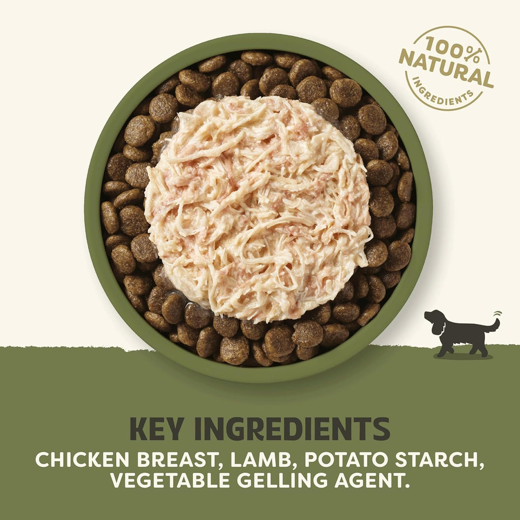 Applaws 100% Natural Wet Dog Food Tins, Grain Free Chicken and Lamb in Gravy, 156g (Pack of 12)