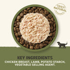 Applaws 100% Natural Wet Dog Food Tins, Grain Free Chicken and Lamb in Gravy, 156g (Pack of 12)