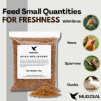 Mealworms Bag for Wild Birds – Natural High-Protein, High-Energy Feed, Mess-Free Food for All Bird Species