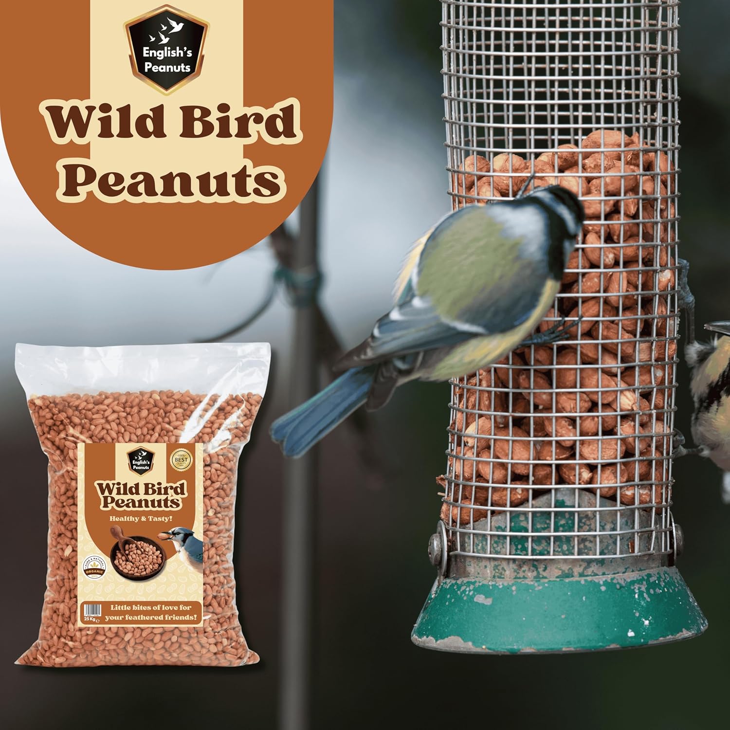 English's Peanuts 25-Kg Sack for Wild Birds – Natural Bird Food for Garden Birds