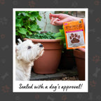 Pet Munchies Dog Training Treats Wild Salmon 50g x 8