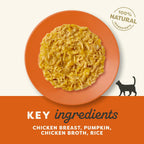 Applaws Cat Pouch Chicken & Pumpkin 70g x 12