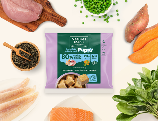 Complete & Balanced Turkey & Fish Puppy Nuggets Raw Food 1 x 1kg
