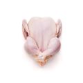 Natures Menu 60/40 Complete and Balanced Beef & Chicken 1 x 1kg