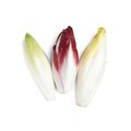 Natures Menu 80/20 Complete and Balanced Turkey & Goose 1 x 1kg