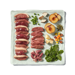 Natures Menu 80% Duck Complete & Balanced Raw Frozen Dog Food 12 x 500g