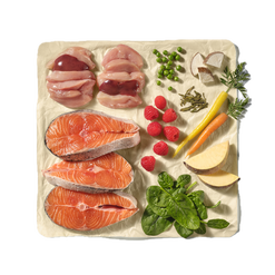 Natures Menu 80% Salmon & Chicken Dog Food Block 12 x 500g