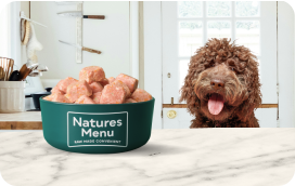 Natures Menu Cat Multipack (48 x 85g)